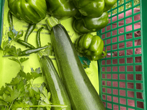 Jul 6, 2022 at 10_21 PM